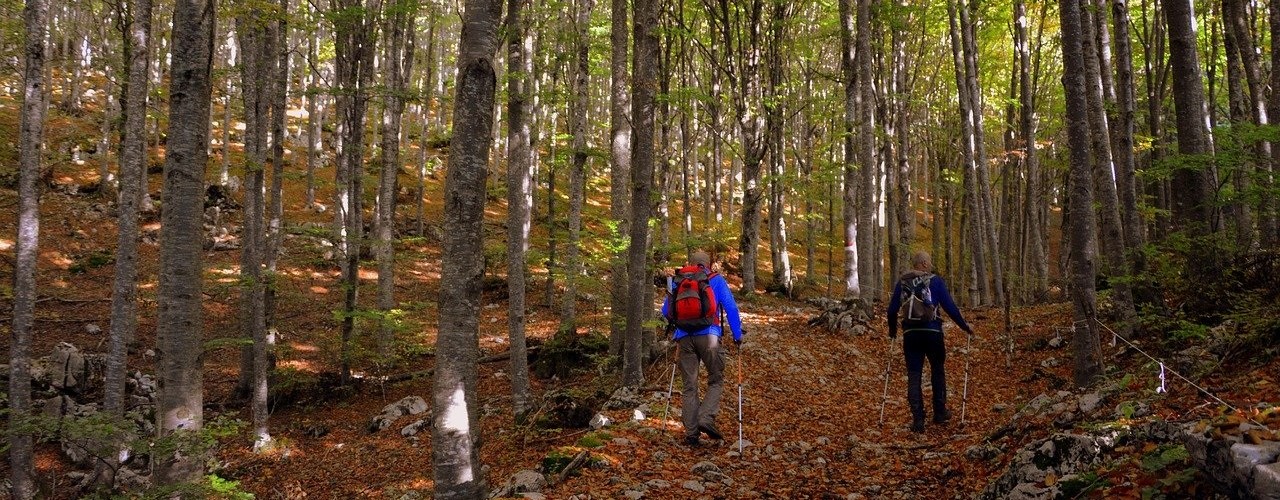 nordic walking Trendsport Nordic Walking